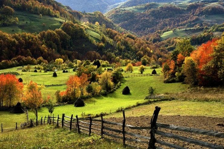 Zlatibor