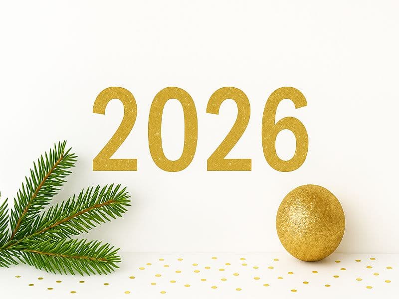 New Year program in the cities of Montenegro